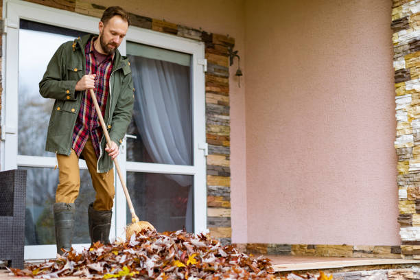 Best Electronics Removal Services  in Carrollton, MO